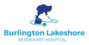 Professional pet care with years of experience.