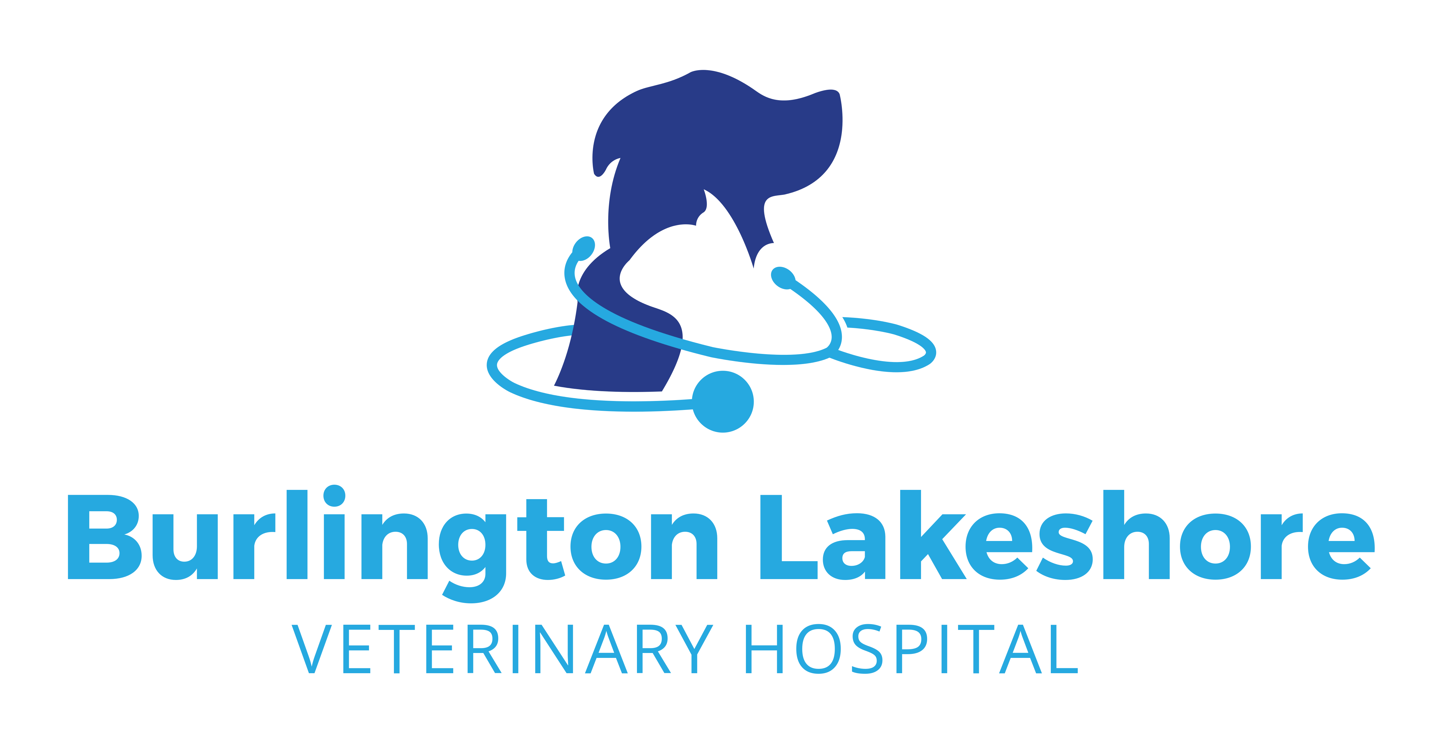 lakeshore animal hospital hours