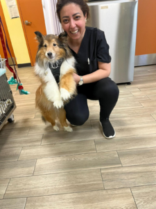 Rodaina is a dedicated veterinarian with a deep passion for animal health and welfare. Known for her compassionate approach and commitment to quality care, she has devoted her career to helping animals live healthier and happier lives.She combines clinical expertise with a genuine love for animals, making her a trusted vet.